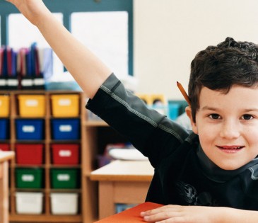 Suspendisse arcu nisl